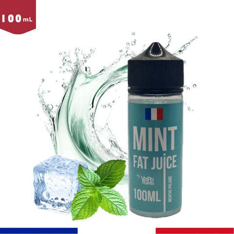 e liquide menthe glaciale 100ml Fat Juice Menthe 100ml - Bob le Vapoteur